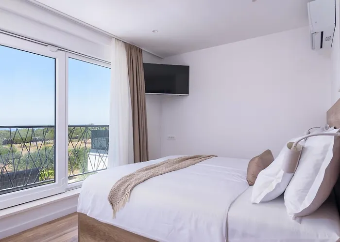 Skyora * 特罗吉尔